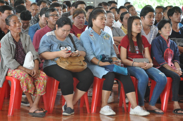 7 DSC_0233_resize.JPG